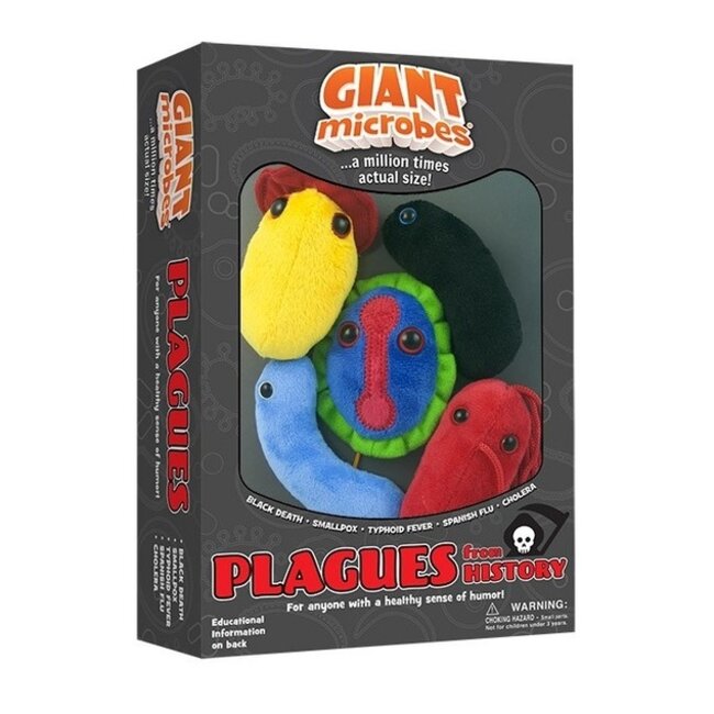 Plagues From History Box: Unravel the Mysteries of the Past!