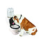The Toilet Pet Water Dish: Quirky and Functional Pet Accessory