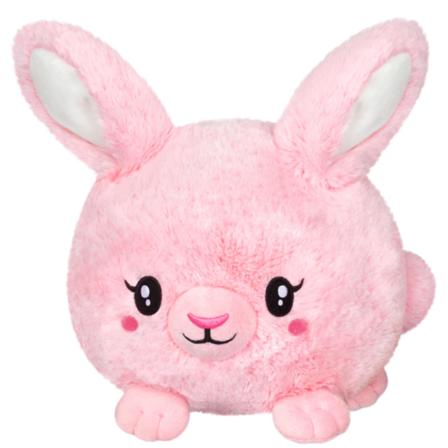Mini Fluffy Bunny