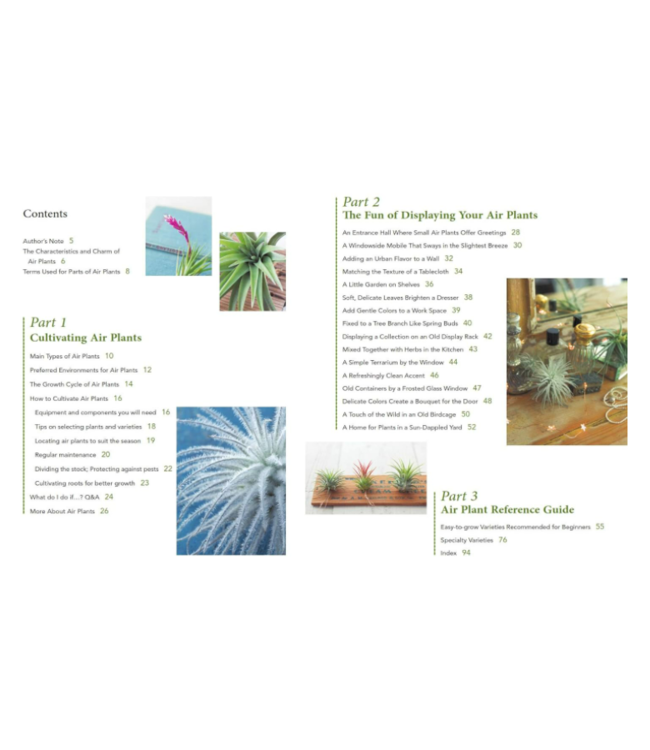 Living With Air Plants Book