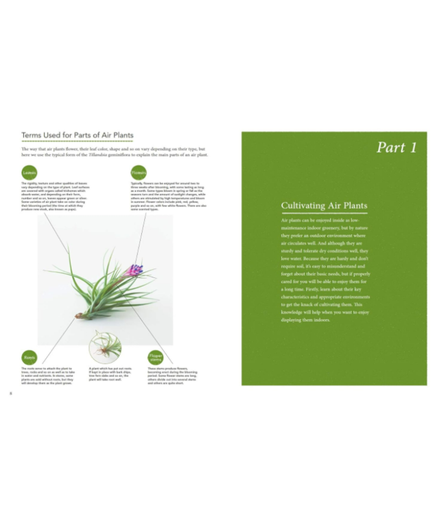 Living With Air Plants Book