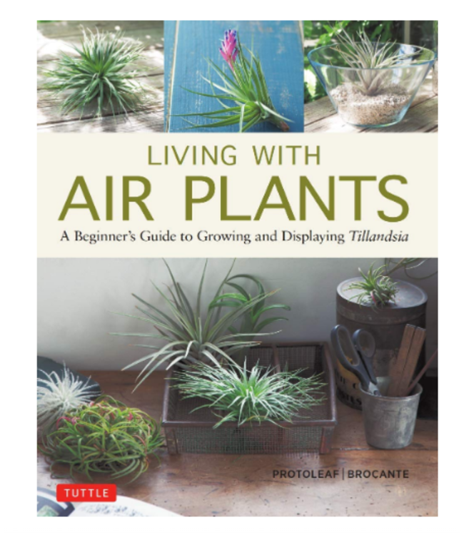 Living With Air Plants Book