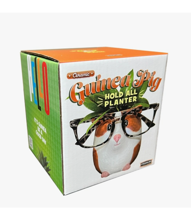 Piggy Pot: Where Guinea Meets Greenery!