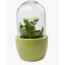 Chive Pill Glass Terrarium Jar For Succulents-Green