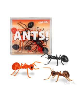 Archie McPhee Novelty Ants!