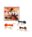 Archie McPhee Novelty Ants: Playful Insect-Inspired Pranks