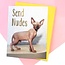 Send Nudes Funny Cat Greeting Card