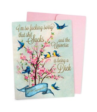 Smitten Kitten Sorry The Universe Is Being A Dick Sympathy Card