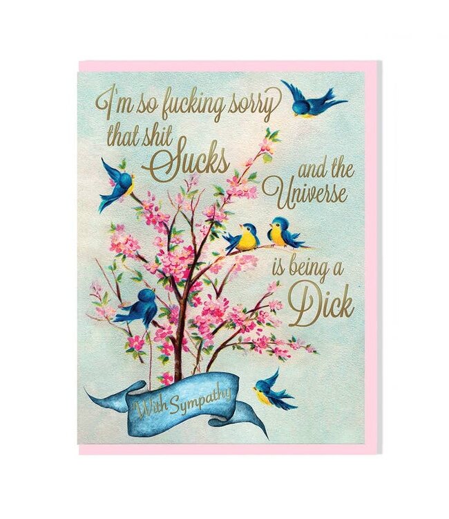 Sorry The Universe Is Being A Dick Sympathy Card