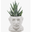 Sigmund Freud Planter Bust