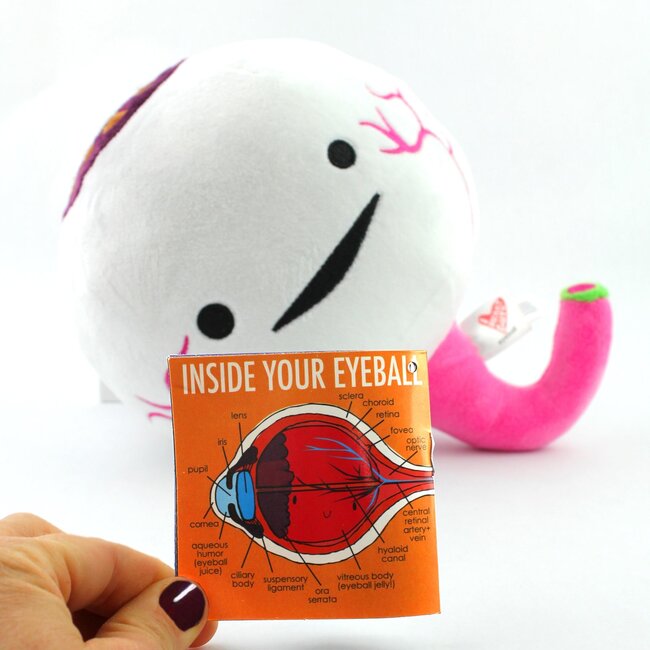 GIANT MICROBES Eye Plush Toy - 7" Stuffed Eyeball With Educational Facts, Perfect Eye Doctor Gift