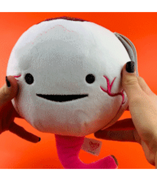 Brown Iris Eyeball Plush