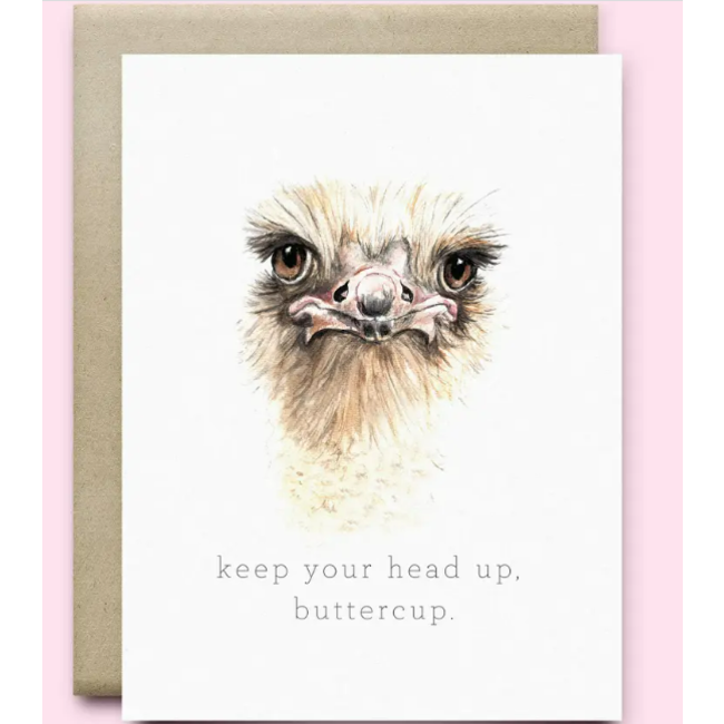 Ostrich -Keep Your Head Up Greeting Card