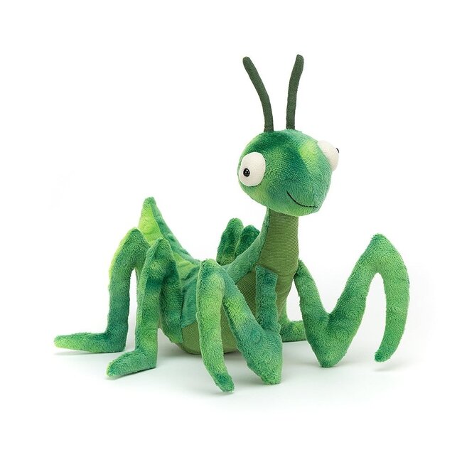 Buggy Brilliance: Penny Praying Mantis