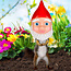 Squirrel Feeder - Gnome: Whimsical Garden Decor