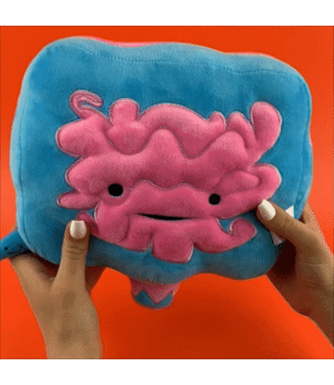 Intestine Plush