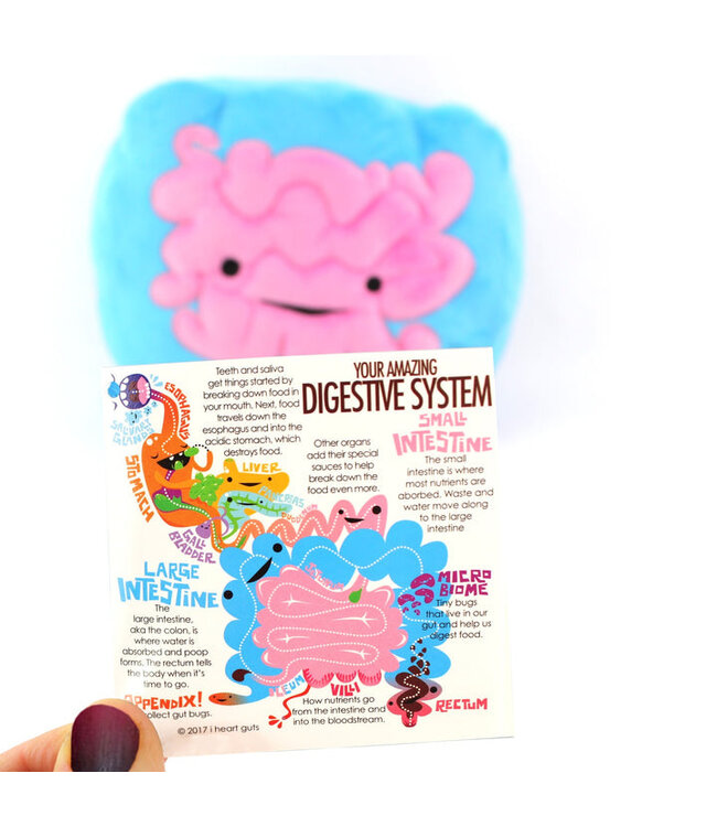 Intestine Plush