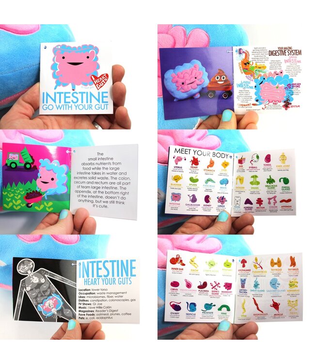 Intestine Plush