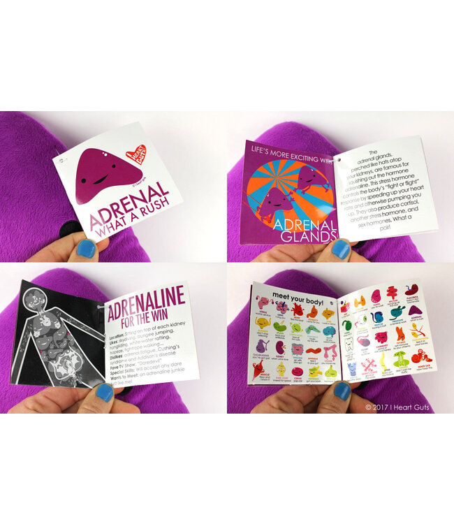 I Heart Guts Adrenal Gland Plush- What A Rush!