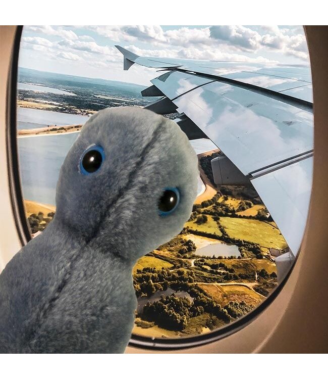 GIANT MIcrobes - Gonorrhea - Clap