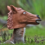 Squirrel Feeder - Horse Head: Whimsical Outdoor Decor