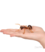 Archie McPhee Novelty Ants: Playful Insect-Inspired Pranks