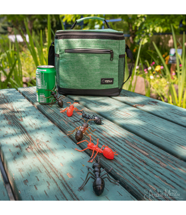 Archie McPhee Novelty Ants: Playful Insect-Inspired Pranks