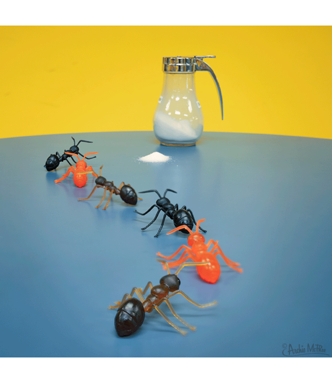 Archie McPhee Novelty Ants: Playful Insect-Inspired Pranks