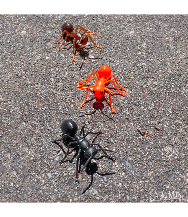 Archie McPhee Novelty Ants: Playful Insect-Inspired Pranks