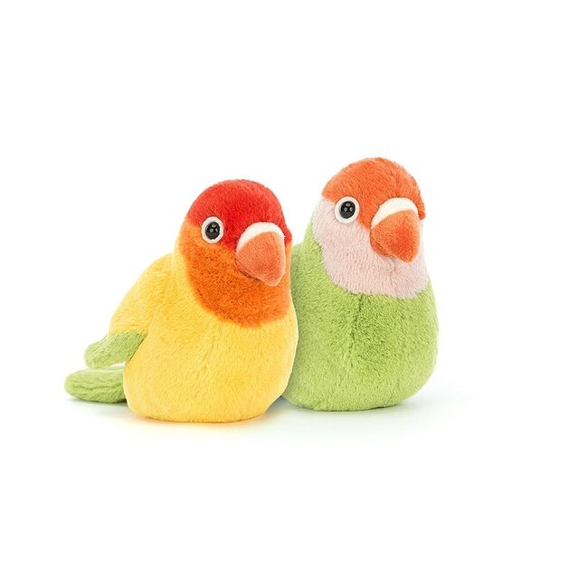 Lovebirds: A Pair of Adorable Affection!