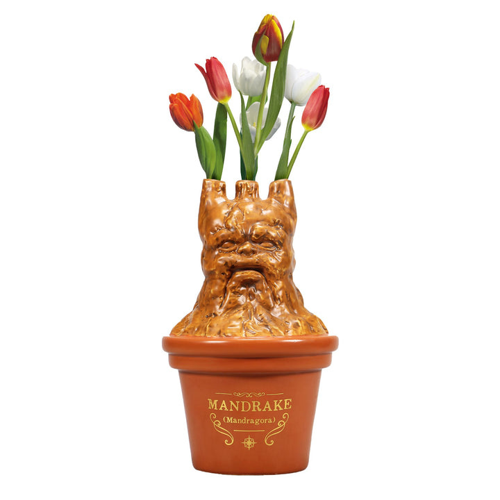 Table Top Vase- Harry Potter Mandrake