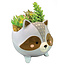 Wooden Animal Collection - Raccoon Planter
