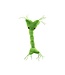 Giant Microbes Nerve Cell Plush: Explore Neuroscience!