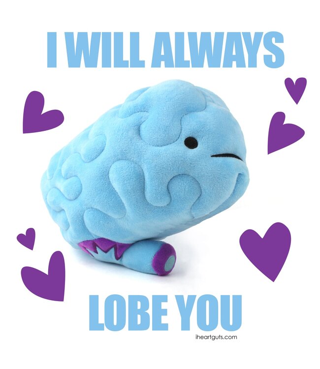 Brain Plush - All You Need Is Lobe
