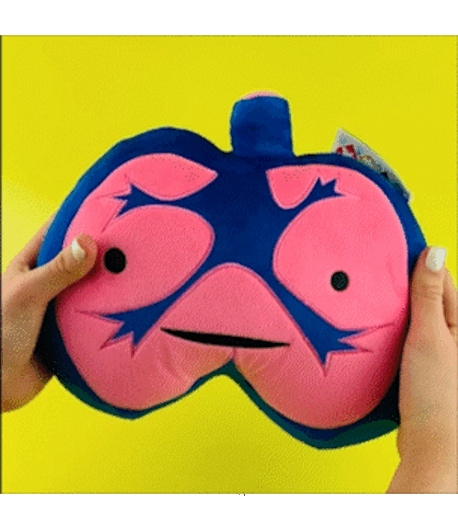 Lungs Plush- I lung You