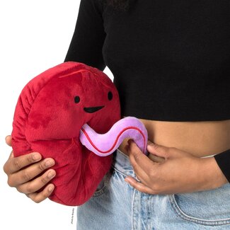 I Heart Guts Placenta Plush- Baby's First Roomate