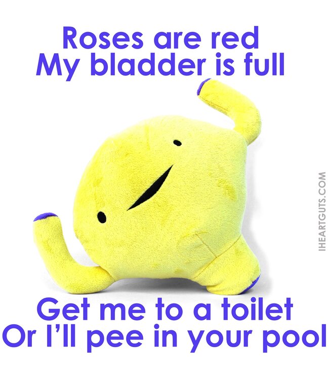 Bladder Plush