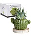 Cactus Planter