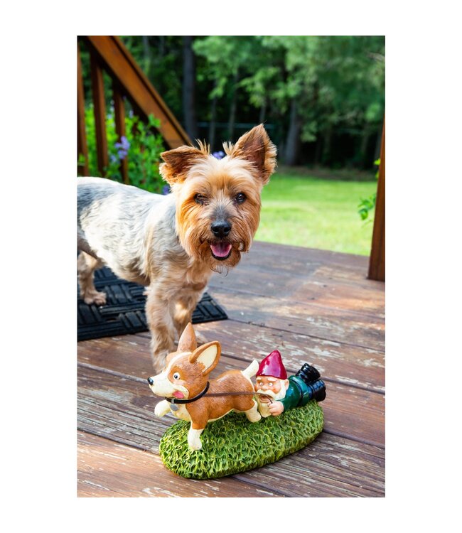 Giddy Up! Pup-tastic Gnome Fun!