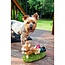 Giddy Up! Pup-tastic Gnome Fun!