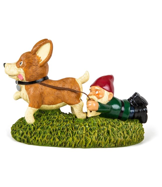 Giddy Up! Pup-tastic Gnome Fun!