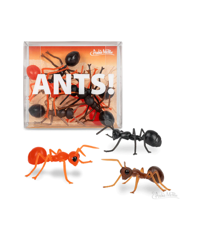 Archie McPhee Novelty Ants: Playful Insect-Inspired Pranks