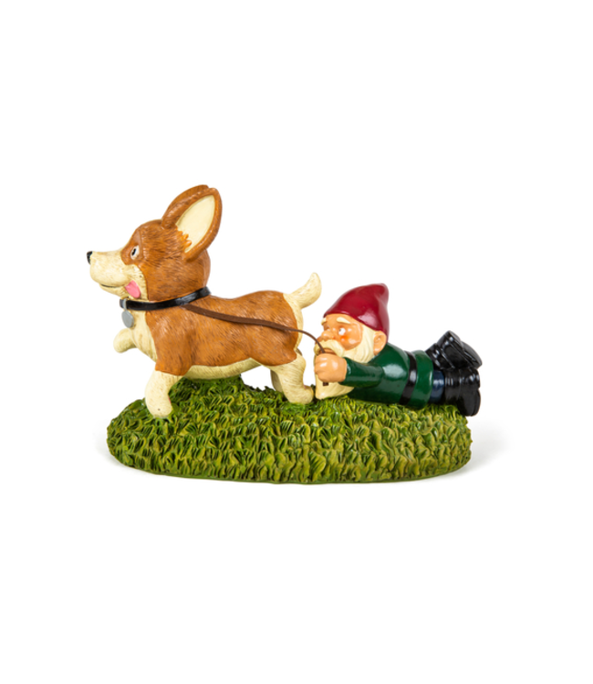 Giddy Up! Pup-tastic Gnome Fun!