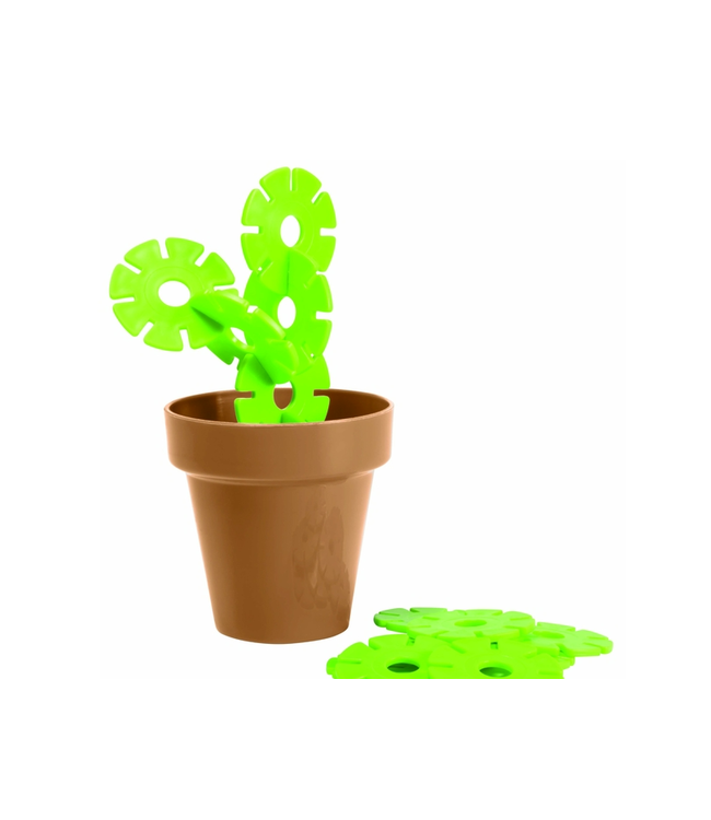 Whimsical Succulents: Hi There! Sculpture Kit