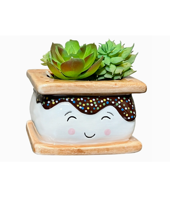 Smores Planter Small