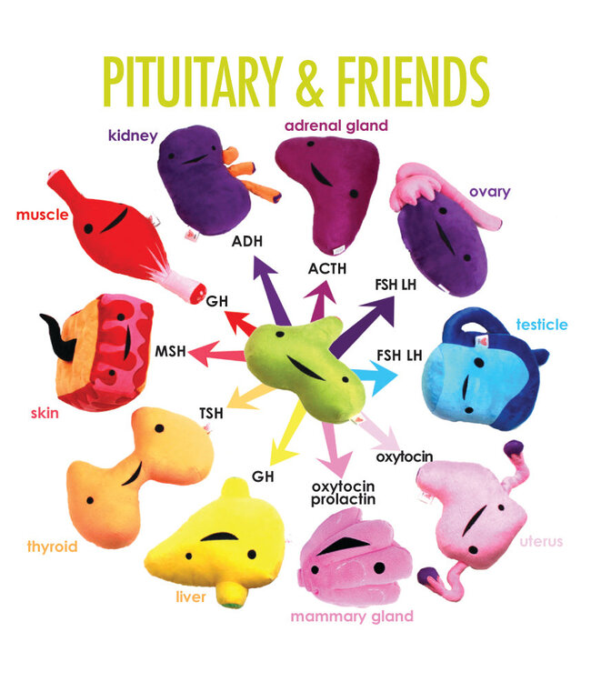 I Heart Guts Pituitary Gland Plush