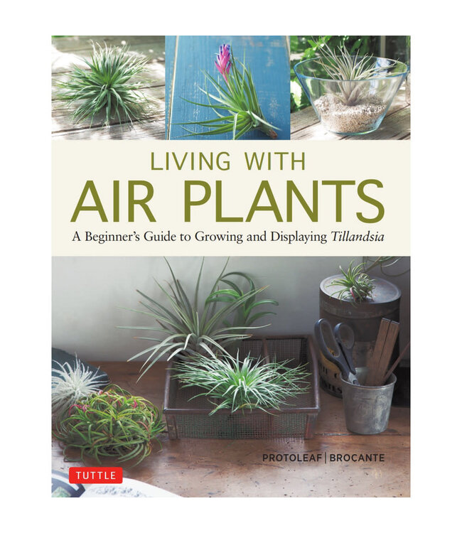 Living With Air Plants Book