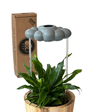 The Cloud Makers Stormy Dripping Rain Cloud Plant Accessory