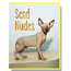 Send Nudes Funny Cat Greeting Card