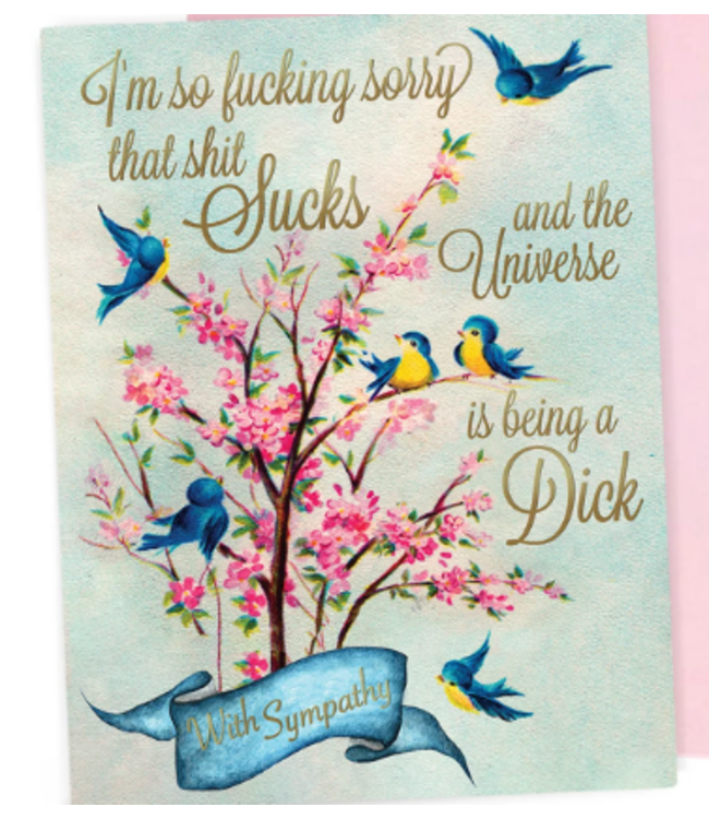 Sorry The Universe Is Being A Dick Sympathy Card